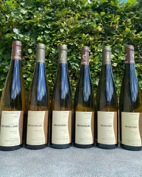 Smagning af ældre vine fra Domaine Stoeffler – d.16/9-2022