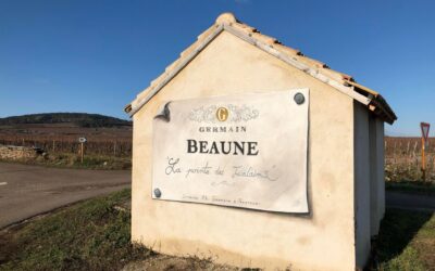 Bourgogne-smagning – Domaine Philippe Germain