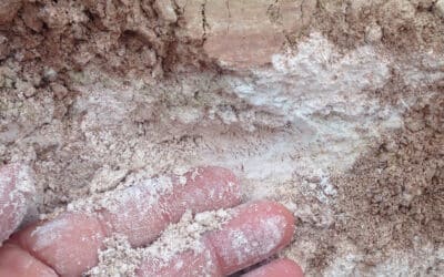 Cà del Vént – Kompromisløse mousserende vine fra Italien